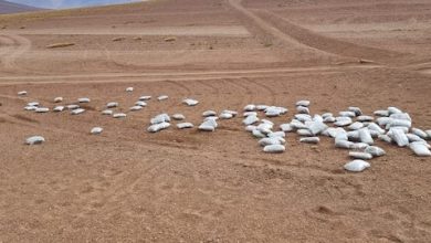 Photo of Carabineros San Pedro repele ataque de narcos en la frontera y decomisa marihuana