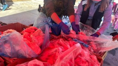 Photo of 1.200 kilos de carnes fueron decomisados tras fiscalización en ferias libres de Calama