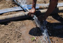 Photo of Despachan proyecto que agiliza decretos en zonas de escasez hídrica