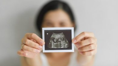 Photo of Senadora Paulina Núñez pide urgencia a proyectos de ley sobre fertilidad