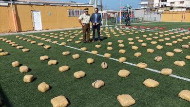 Photo of Incautaciones de marihuana registran un alza de 280% este año en la región