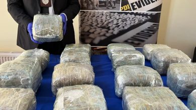 Photo of PDI incauta millonario contrabando de marihuana en control de drogas en Calama