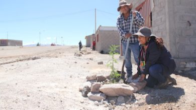 Photo of Fondo Ambiental de Minera El Abra permitirá materializar 11 iniciativas sostenibles en Calama, Tocopilla y Alto El Loa