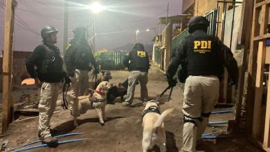 Photo of Operación Olimpo de la PDI y Fiscalía desarticula organización criminal en campamento “Génesis” de Antofagasta