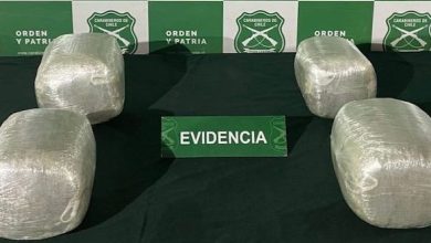 Photo of Carabineros del OS7 El Loa encuentra 22 mil dosis de marihuana en bus interurbano