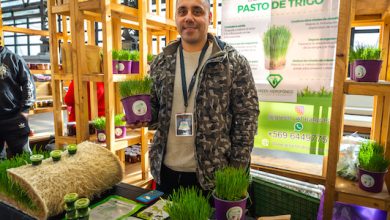 Photo of Expo Mundo Rural INDAP 2024: La gran fiesta del campo chileno abre sus puertas con presencia de 130 agricultores y artesanos de todo el país