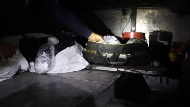 Photo of Incautan 24 kilos de ketamina en doble fondo de un vehículo