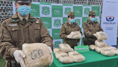 Photo of En nuevo procedimiento en la carretera Carabineros intercepta más de mil millones de pesos en droga