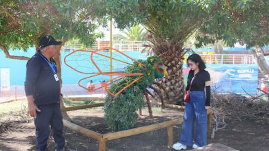 Photo of Mejoran áreas verdes de Plaza Carlos Condell en Tocopilla con fondo de El Abra