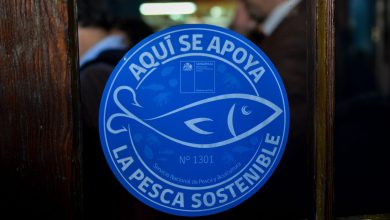 Photo of Sernapesca refuerza invitación a postular al Sello Azul: Convocatoria termina este domingo 30
