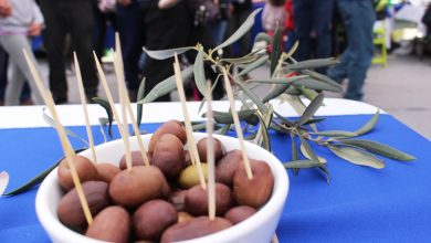 Photo of Todo listo y dispuesto para celebrar una nueva versión de la Fiesta de la Aceituna