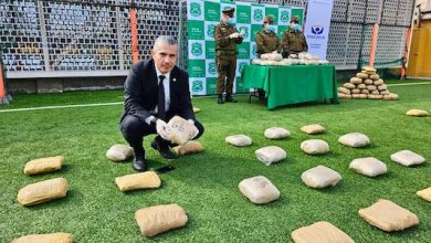 Photo of 88% de la droga incautada este año en la región corresponde a marihuana ingresada desde el extranjero