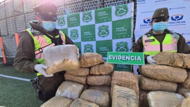 Photo of Carabineros intercepta casi 2 millones de dosis de marihuana en 3 días