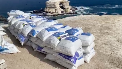 Photo of Detienen a banda que extraía guano desde los acantilados de La Portada