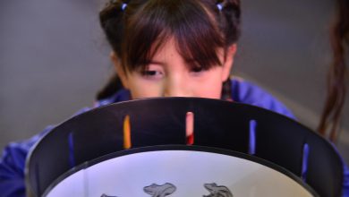 Photo of MIM llegó a Osorno con muestra gratuita sobre los sentidos