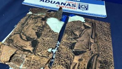 Photo of Traficaban a Australia cocaína en moais