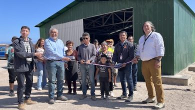 Photo of Pescadores de Tocopilla cuentan con nuevo galpón gracias a programa de Minera El Abra