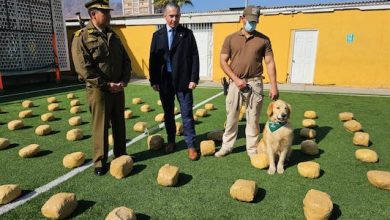 Photo of Fiscalía formalizó a ciudadano dominicano por tráfico de drogas