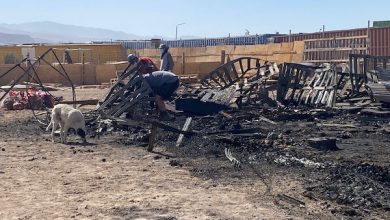 Photo of ACTUALIZA: 31 perritos calcinados 3 graves en incendio de refugio en Calama