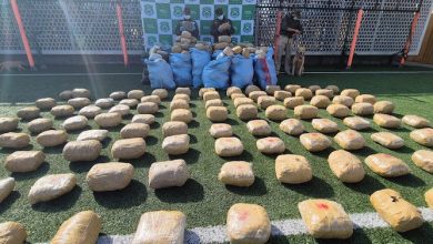 Photo of Carabineros encuentra casi 2 mil millones de pesos en marihuana. Estaba abandonada en el desierto