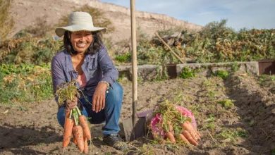 Photo of INDAP lanzó política para enfrentar desastres naturales y adaptarse a los efectos del cambio climático