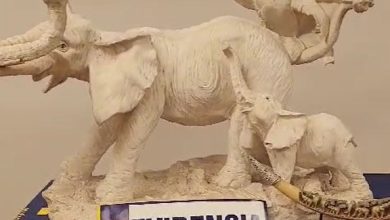 Photo of Investigación de la  PDI-Biro Calama desarticula red de receptación