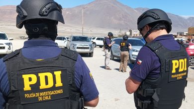 Photo of PDI desarticuló organización dedicada a las peleas de gallos en el sector de Isla Santa María