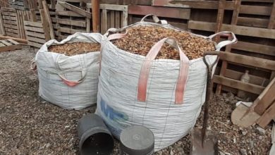 Photo of Fiscalización de Sernapesca en Tocopilla permitió incautar más de 4 toneladas de algas pardas procesadas sin acreditar origen legal