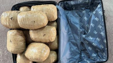 Photo of Dos detenidos y más de 17 kilos de drogas en dos días de fiscalización de narcoequipajes en terminales de buses