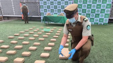 Photo of Carabineros retira de circulación más de 500 mil dosis de droga
