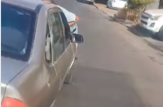 Photo of Fiscalía formalizó por homicidio frustrado a conductor que embistió y arrastró a adulto mayor sobre capó de su vehículo