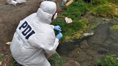 Photo of BIDEMA investiga origen de contaminación en el humedal de La Chimba