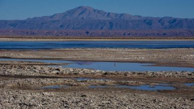 Photo of Fiscalía de Calama Investiga Incumplimientos ambientales en Salar de Atacama