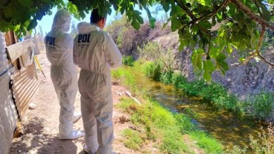 Photo of Fiscalía y PDI dirigen diligencias por hallazgo de cadáver en canal de regadío
