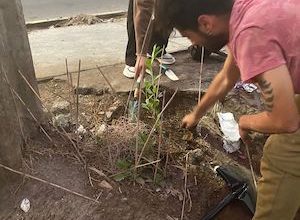 Photo of Proyecto Xerojardinería Promueve Áreas Verdes Sostenibles