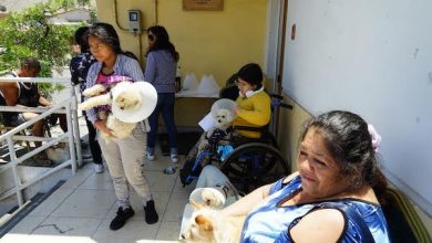 Photo of El Abra apoya más de 230 esterilizaciones caninas  en Calama, Alto El Loa y Tocopilla