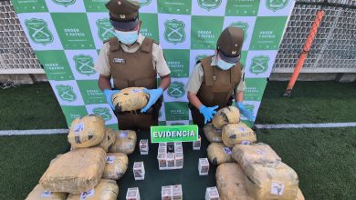 Photo of Carabineros incauta DINAMITA en procedimiento de droga