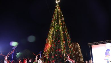Photo of Hoy 20 horas encendido árbol de Navidad e iluminación Parque El Loa