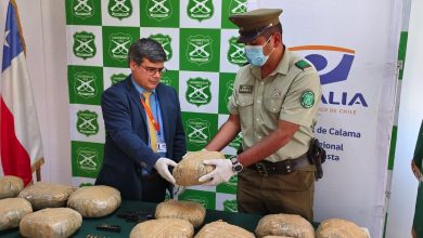 Photo of Más de 300 millones en marihuana decomisó OS7 El Loa