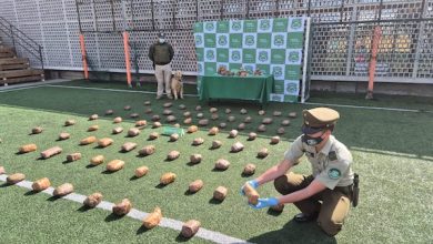 Photo of Carabineros y Fiscalía desarticula organización criminal que actuaba en tres regiones