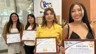 Photo of Microempresarios de Calama y Tocopilla se capacitaron en  Programa de Desarrollo de Proveedores