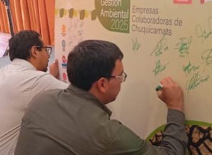 Photo of Sustentabilidad: División Chuquicamata cierra exitosamente auditorías ambientales