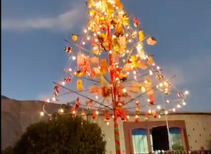 Photo of Familias disfrutaron encendio del árbol navideños de Chuquicamata