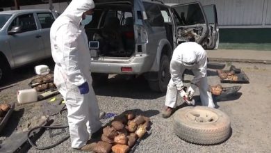 Photo of Ocultaron droga en la estructura de un vehículo y lo enviaron a Santiago en un camión de encomiendas