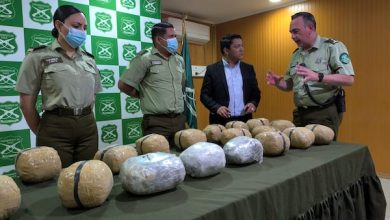 Photo of Más de 6 toneladas de droga fueron decomisadas en la provincia El Loa este 2024