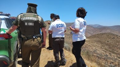 Photo of Pirquinero muere al explotar 75 kilos de dinamita