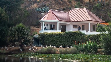Photo of Minera el Abra participa de segunda entrega de los avances en la reconstrucción del Jardín Botánico de Viña del Mar