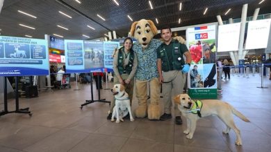 Photo of SAG lanza chatbot con inteligencia artificial para  orientar a quienes salen con sus mascotas fuera de Chile