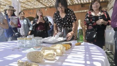 Photo of INDAP  logra concretar un segundo banco de semillas para la Región