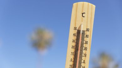 Photo of Altas temperaturas: ¿Cómo reaccionar ante un golpe de calor?